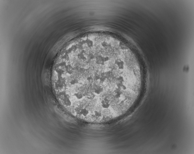 X0000113960825200911061323