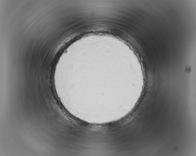 X0000113960826200911061323