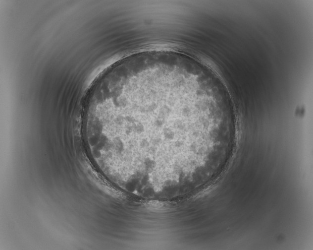 X0000113960827200911061323