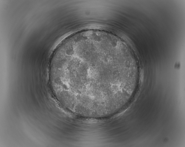 X0000113960829200911061323