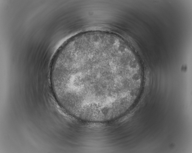 X0000113960830200911061323