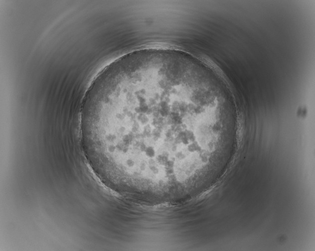 X0000113960831200911061323