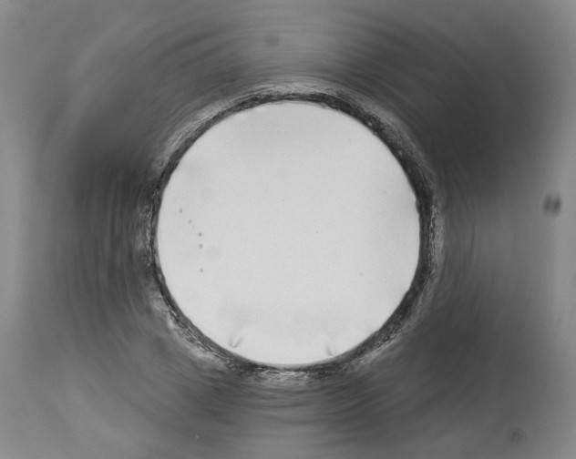 X0000113960833200911061324