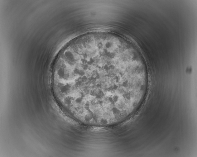 X0000113960835200911061324