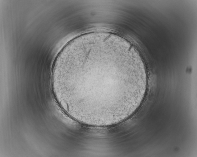 X0000113960836200911061324