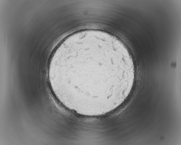 X0000113960837200911061324