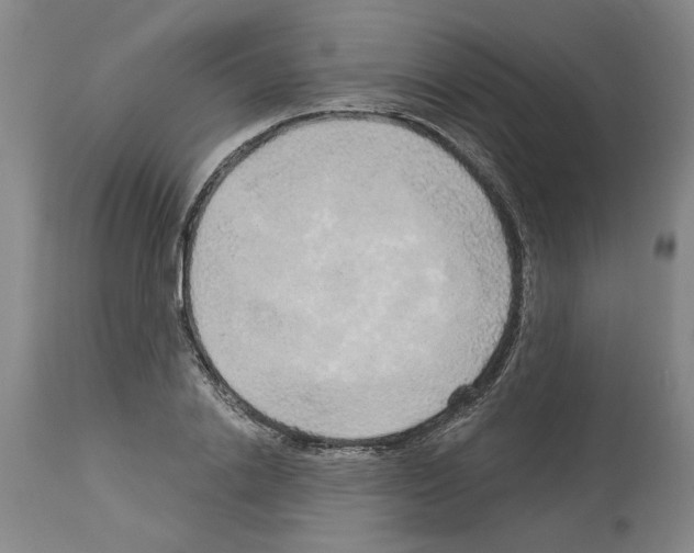 X0000113960838200911061324