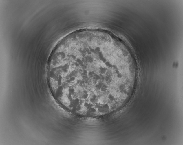 X0000113960839200911061324