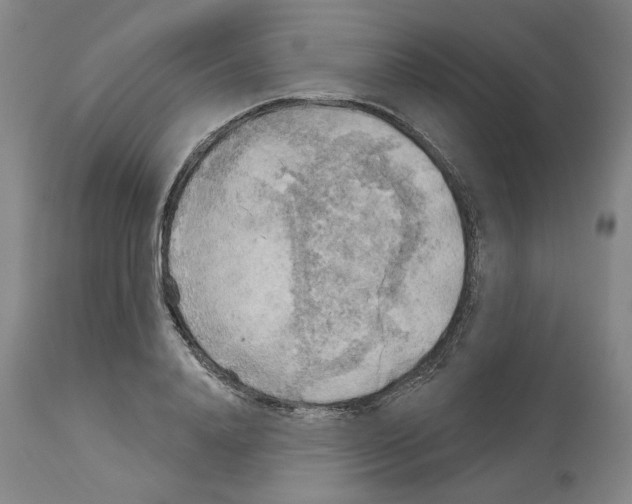 X0000113960840200911061324