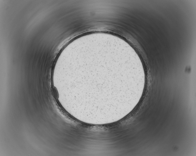 X0000113960842200911061324