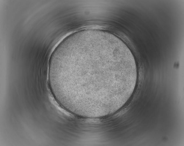 X0000113960844200911061324