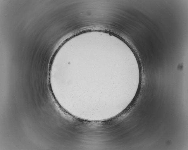 X0000113960845200911061324