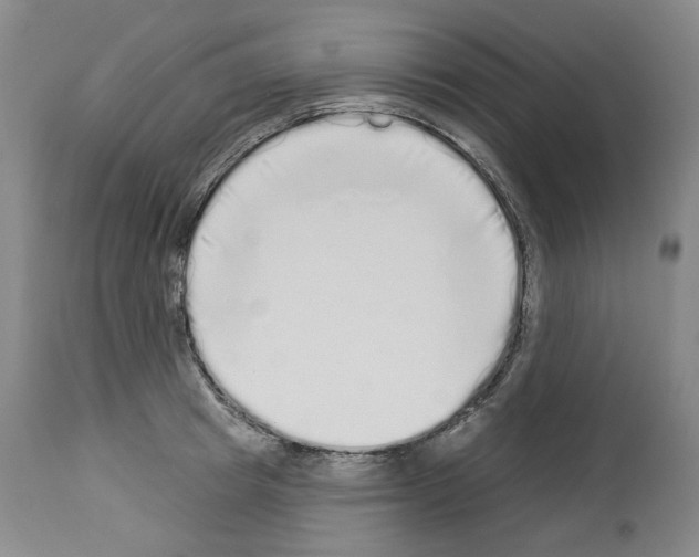 X0000113960849200911061324