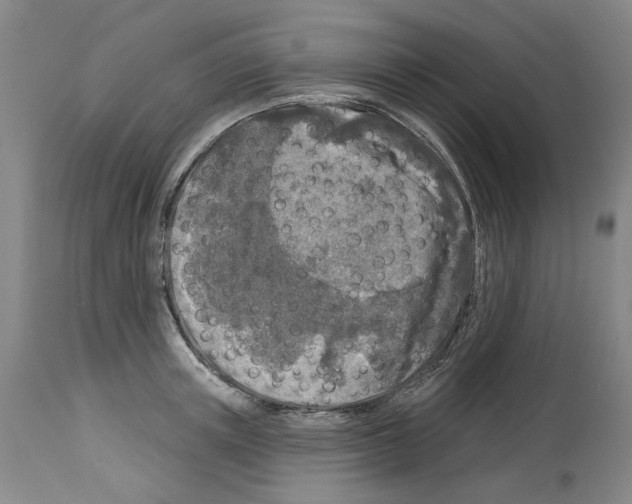X0000113960851200911061324