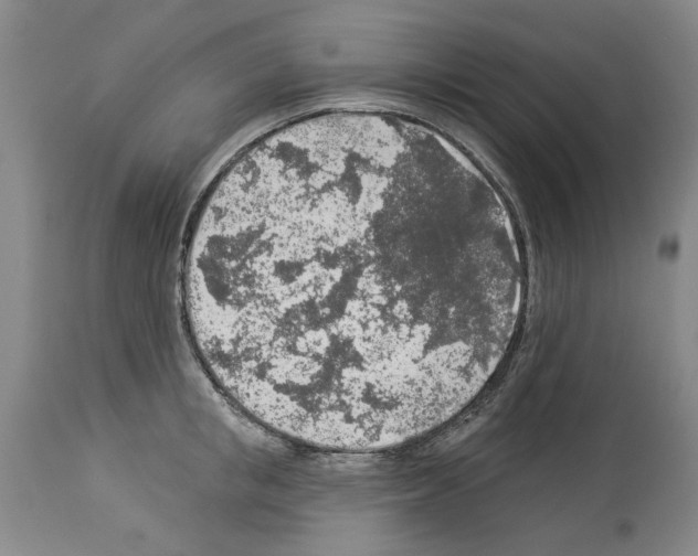 X0000113960853200911061324