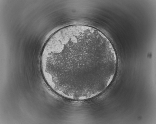 X0000113960854200911061324