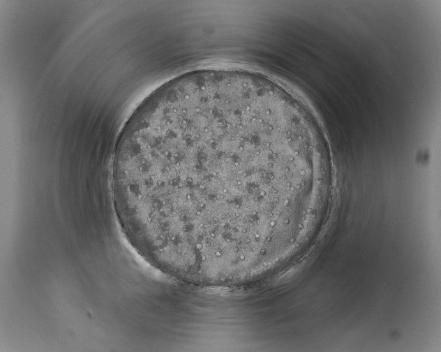 X0000113960855200911061324
