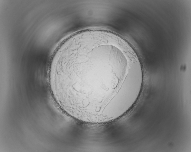 X0000113960856200911061324