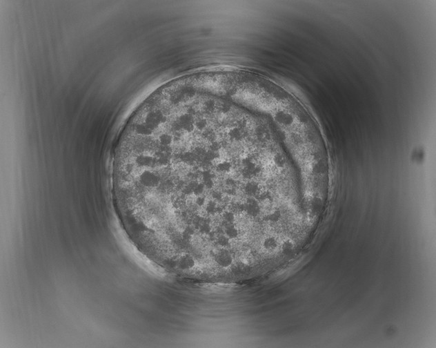X0000113960859200911061324