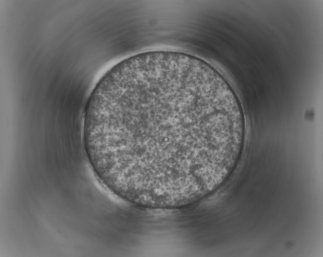 X0000113960862200911061324