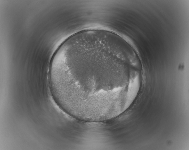 X0000113960863200911061324