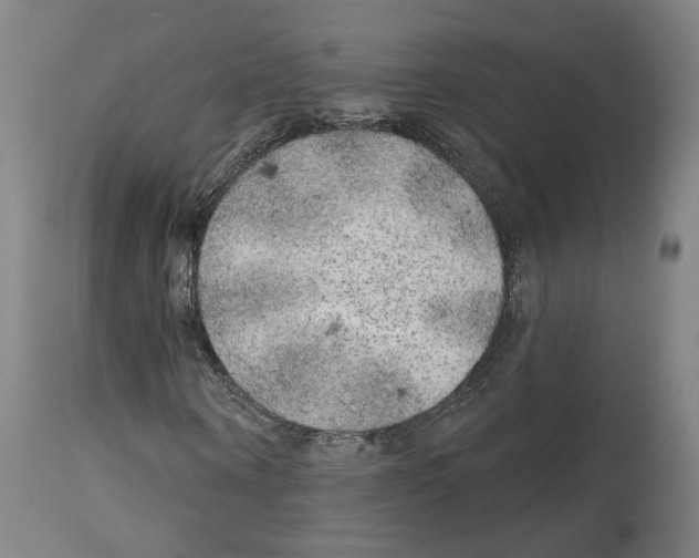 X0000113960866200911061323