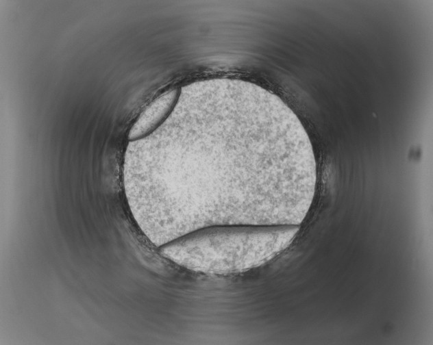 X0000113960868200911061323