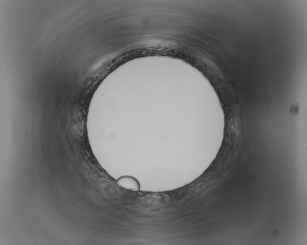 X0000113960869200911061323
