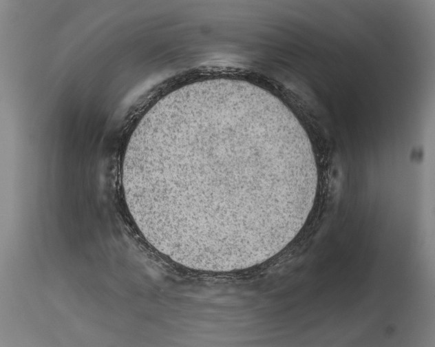 X0000113960870200911061323