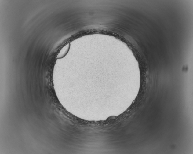 X0000113960872200911061323