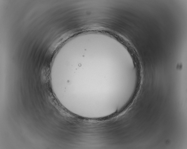 X0000113960873200911061323