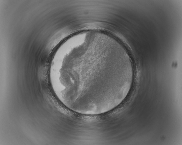 X0000113960874200911061323