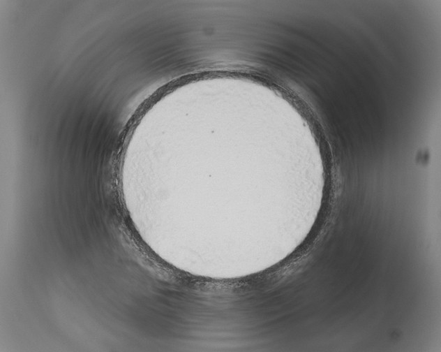 X0000113960875200911061323