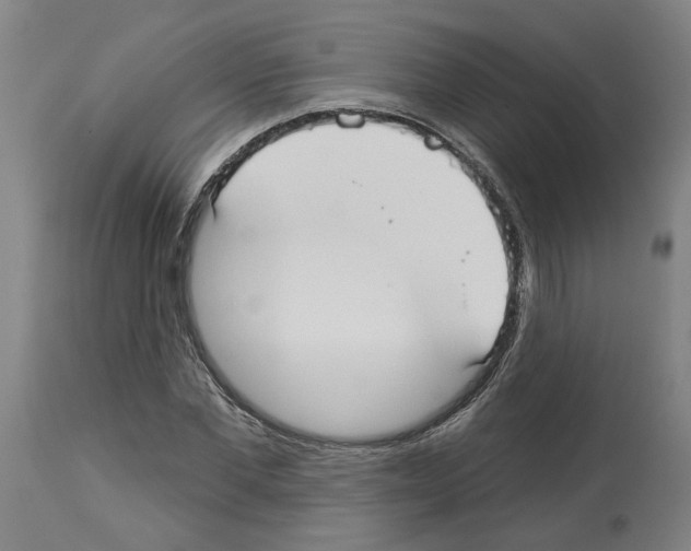 X0000113960877200911061323