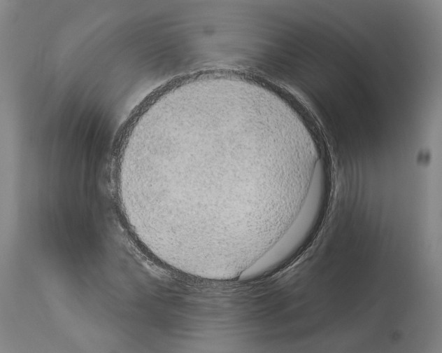 X0000113960878200911061323
