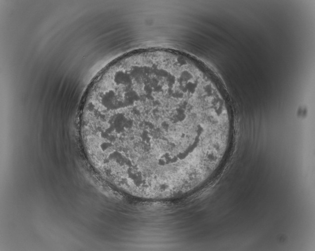 X0000113960879200911061323