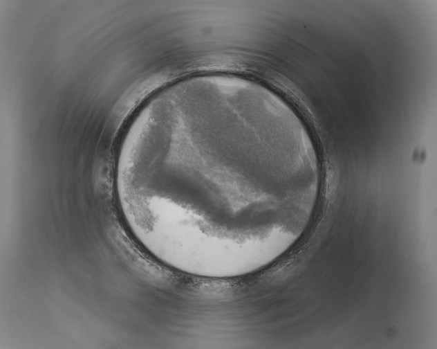 X0000113960882200911061323
