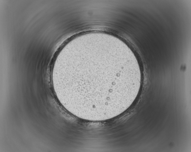 X0000113960883200911061323