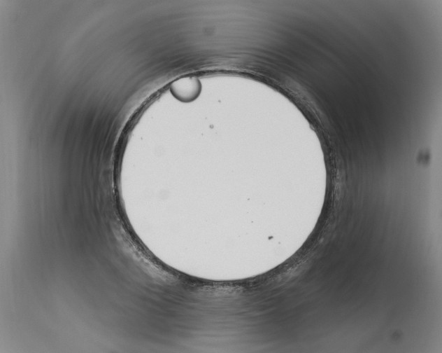 X0000113960884200911061323