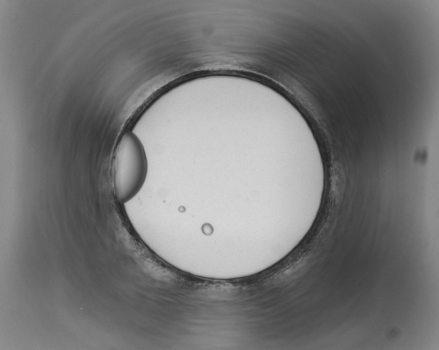 X0000113960885200911061323
