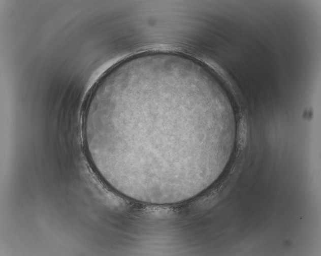 X0000113960886200911061323
