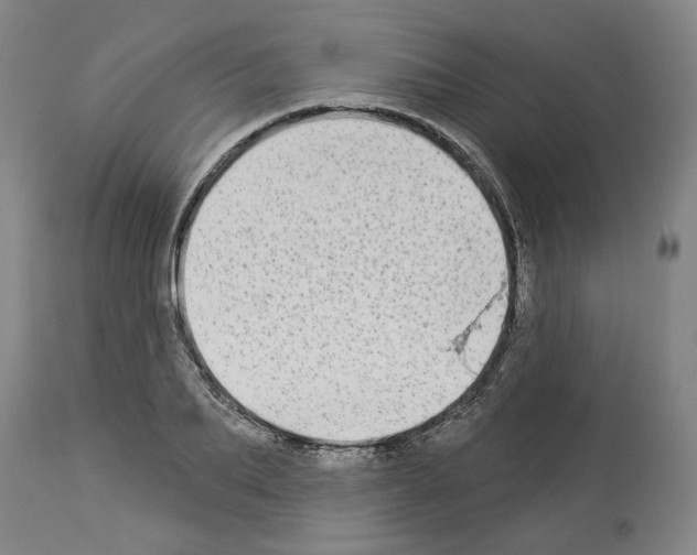 X0000113960887200911061323