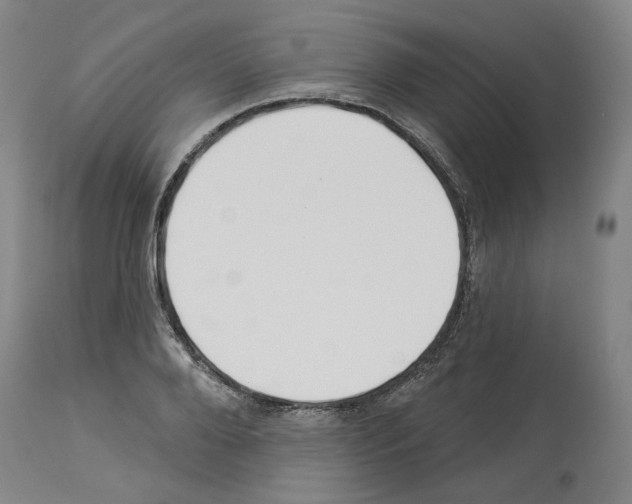 X0000113960888200911061323