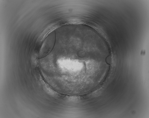 X0000113960889200911061323