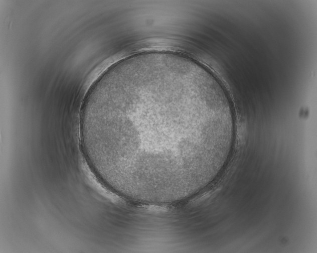 X0000113960890200911061323