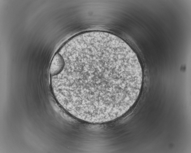 X0000113960892200911061323