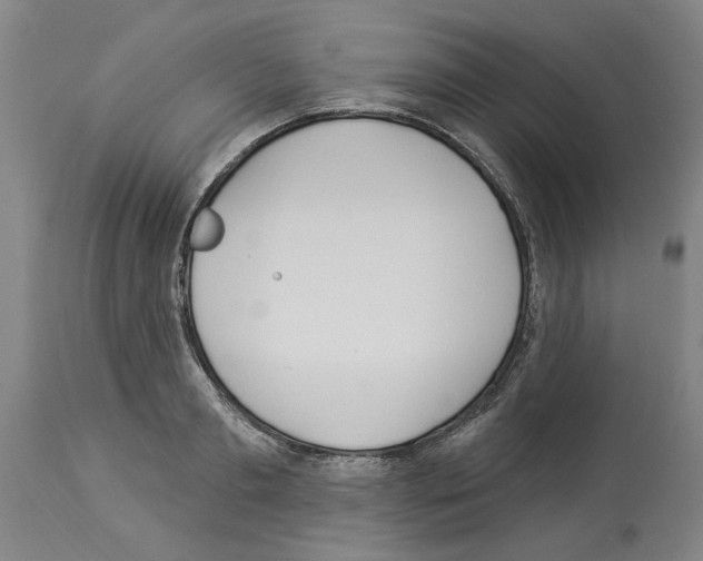 X0000113960893200911061323