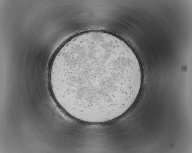 X0000113960894200911061323