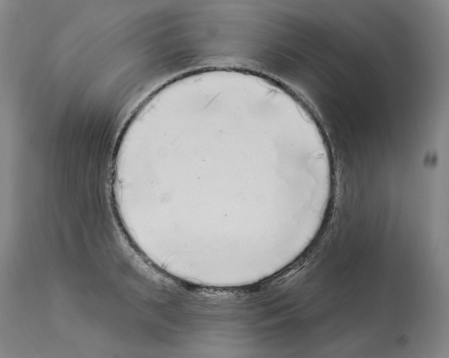 X0000113960895200911061323