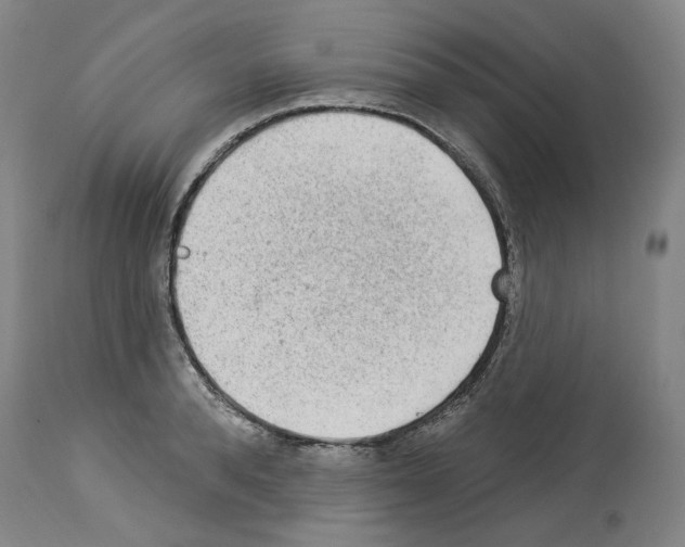X0000113960896200911061323